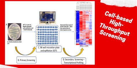 Topics Bit 479579 High Throughput Discovery