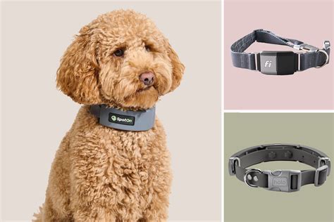 The Best Smart Dog Collars