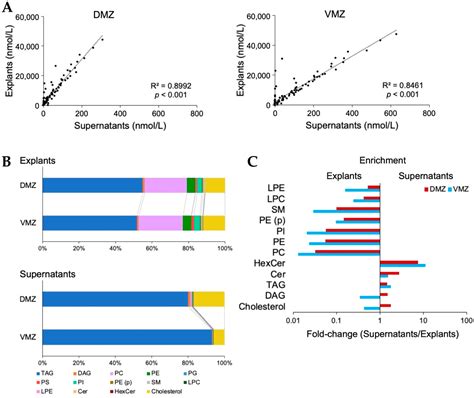 Metabolites Free Full Text Comparative Metabolomics Of Small Molecules Specifically