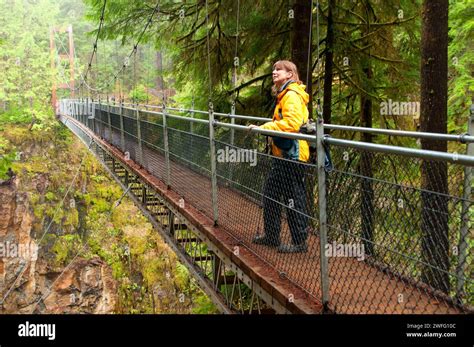 Hiker Suspension Bridge On Drift Creek Falls Trail Siuslaw National
