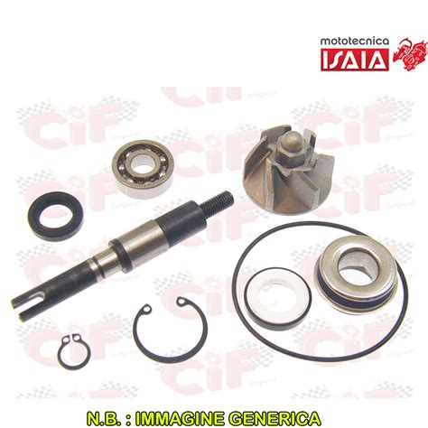 Kit Revisione Pompa Acqua Honda Sh Chiocciola Mototecnica Isaia