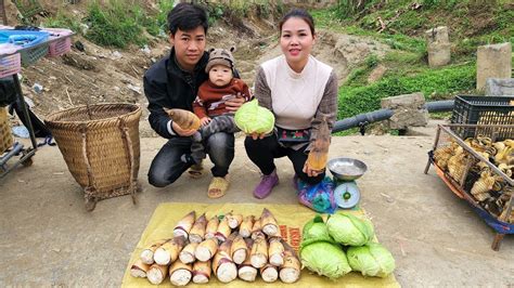 Harvest Bamboo Shoots And Vegetables Bring Them To The Market To Sell Hà Tòn Chài Youtube