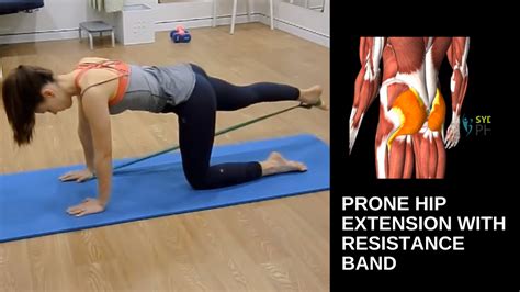 Prone Hip Extension With Resistance Band Sydney Health Physiotherapy