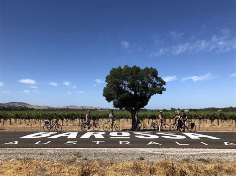 Bike Hire Experience The Barossa Valley On Bikes Barossa Valley