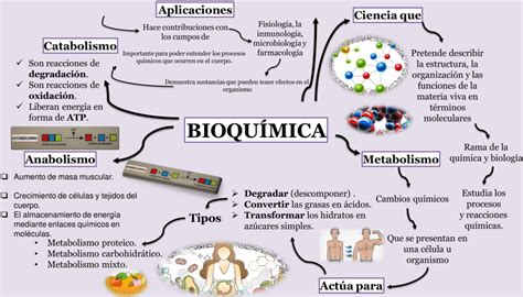 Mapas conceptuales de la Bioquímica Descargar