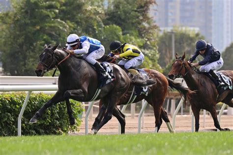 【香港ヴァーズ】日本馬最先着は2着のゼッフィーロ 池江調教師「思った通りの競馬です」 スポーツ報知