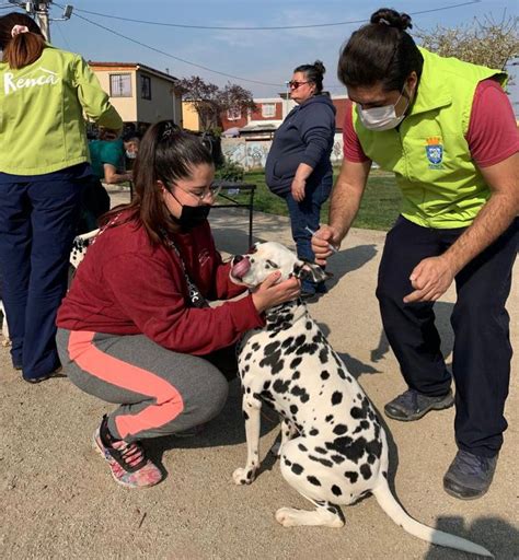 Municipalidad Renca on Twitter Esta semana el operativo de la Clínica