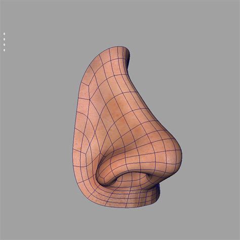 3d Model Realistic Human Nose Turbosquid 1295655