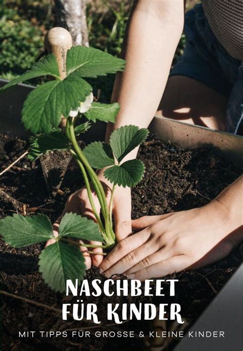 G Rtnern Mit Kindern Ein Naschbeet F R Kinder Anlegen Gartenblog