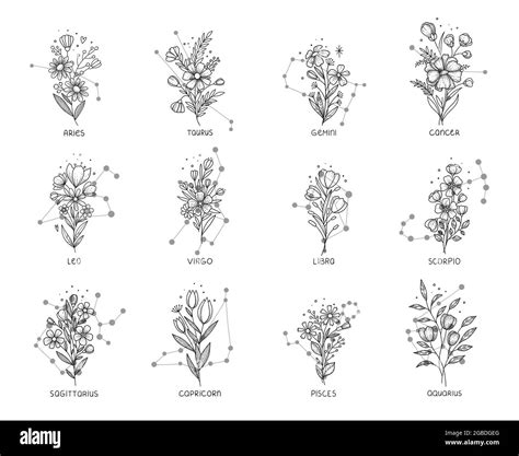 Horoscope Tattoo Flowers Icons Set Outline Hand Drawn Vector Zodiac