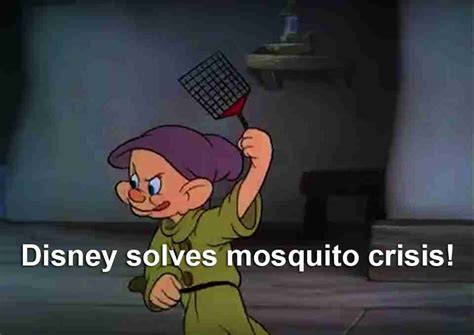 Disney Solves Mosquito Crisis: A Guide for Apartment Managers