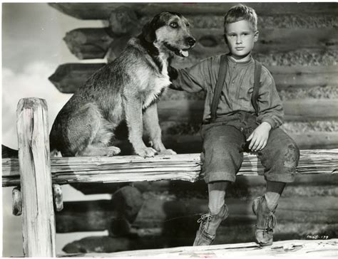 Shane (1953) - Toronto Film Society