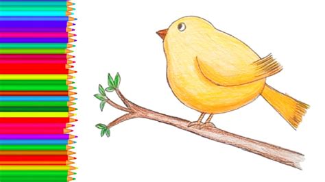 Como Desenhar Um Passaro F Cil Cute Bird Drawing Easy Step By Step