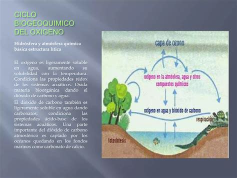 Ciclo Biogeoquimico De Los Elementos Ppt