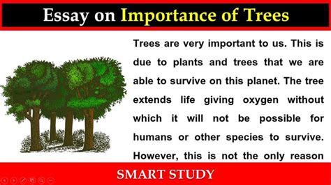 Essay On Importance Of Trees In English Tree Essay Importance Of