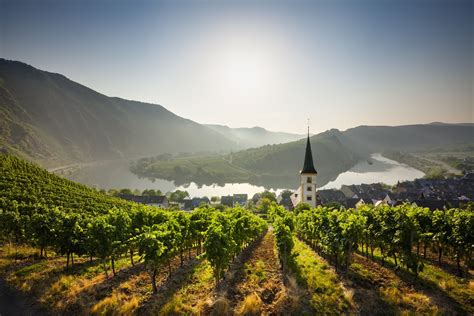 Mosel Wine Total Wine And More