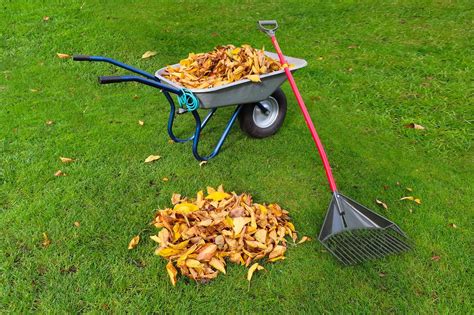 Leaves Wheelbarrow Grass Free Photo On Pixabay Pixabay