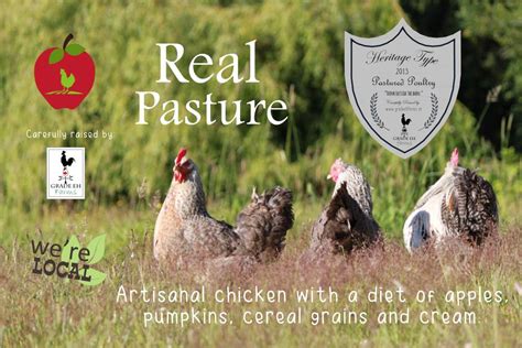 Pasture Raised Chicken Grade Eh Farms Bc Canada