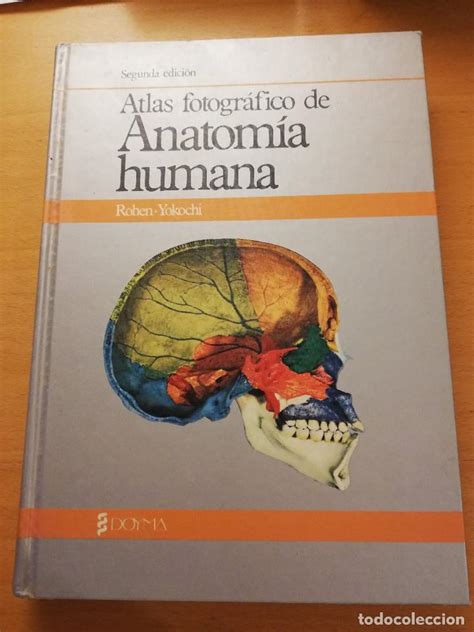 Alguna Cosa Moler Las Bacterias Atlas De Anatomia Yokochi