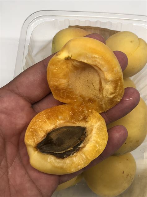 Купить абрикосы в Москве | Fruitonline.ru