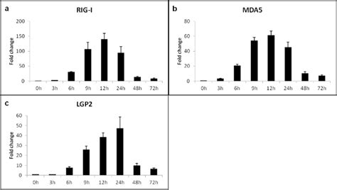 Poly I C Transfection Induces Expression Of Rlrs Time Course Fold Download Scientific Diagram