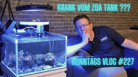 Der Meerwasseraquaristik Sonntags Vlog EP 227 Krank Vom Zoa Tank