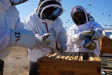 Meet the award-winning North Kern beekeepers - Inside CDCR