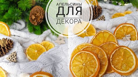 Как правильно и быстро засушить апельсины в домашних условиях: советы и ...