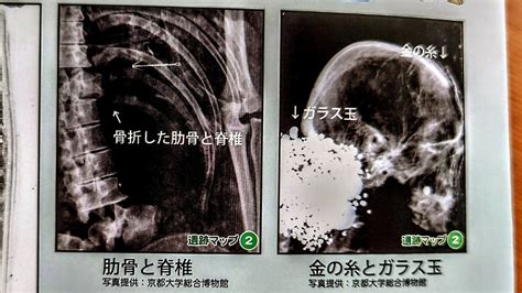 【阿武山古墳】被葬者が藤原鎌足公の可能性がますます高まる新研究とヒ素の話 ものづくりとことだまの国