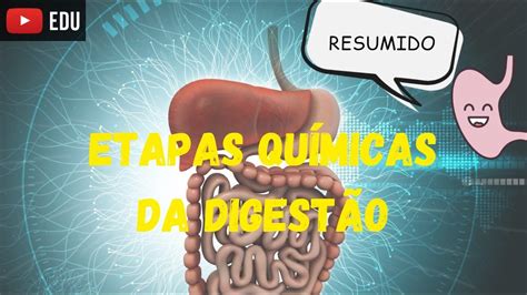 O Que É Digestao Quimica - O Que é Digestao Quimica - GITEDU