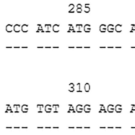 Alignment Of The Sequence Of Exon 5 Of HLAC 07 1023 With The Sequence