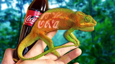 ХАМЕЛЕОН МЕНЯЕТ ЦВЕТ😱 / ЭКСПЕРИМЕНТ С ЗЕРКАЛЬНОЙ КОРОБКОЙ🦎 - YouTube