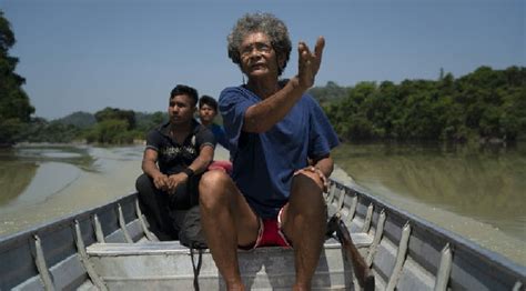 Ind Genas Alzan La Voz Por Incendios Que Arrasan La Amazon A Diario