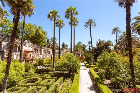 Baths Of Lady Maria De Padilla In The Alcazar Of Seville Spain