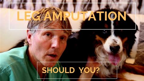 Dog Leg Amputation: Should You Do This? - Veterinary Secrets with Dr ...