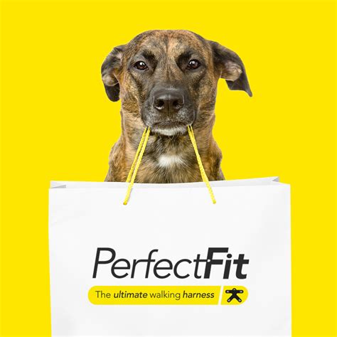 Create that PerfectFit for the design and branding of your business