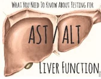 ALT AST yüksekliği ne anlama gelir birimfiyatim