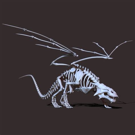 3D model Dragon Skeleton | CGTrader