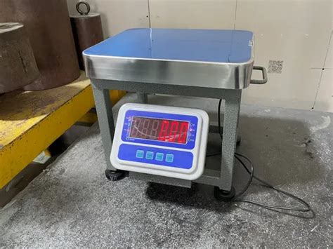 Digital Chicken Scales Electronic Scale With Large Led Weighing