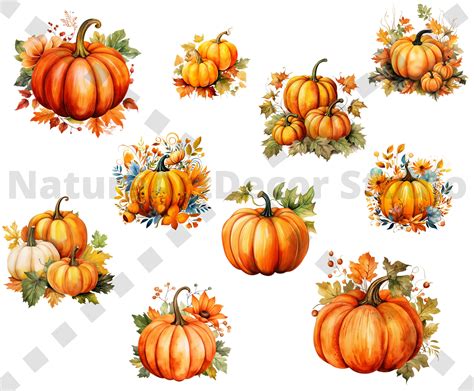 Pumpkin With Autumn Vibes PNG Bundle 50pc Watercolor Autumn Etsy