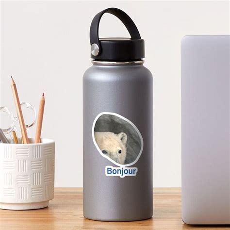 "Bonjour - Polar Bear Meme" Sticker by LeenoTasseri10 | Redbubble