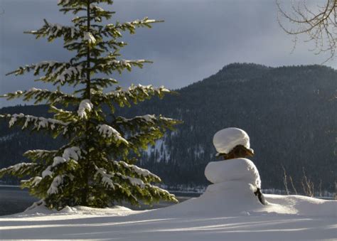 images landscape tree nature wilderness mountain snow cold