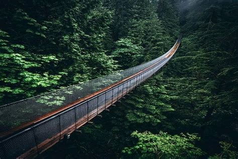 Capilano Suspension Bridge | Globalduniya