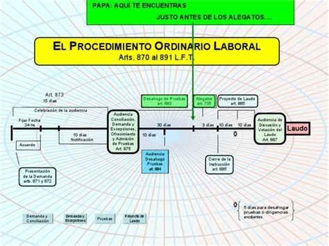 Esquema Procedimiento Ordinario Laboral