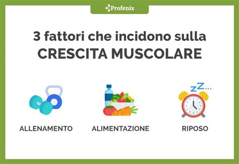 Come Aumentare La Massa Muscolare 3 Fattori Fondamentali