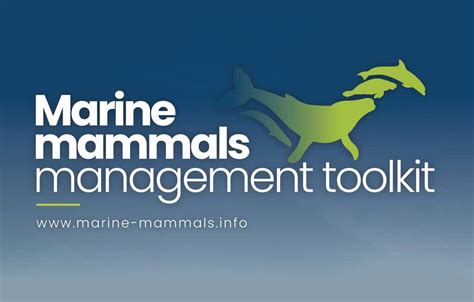 Rapport D Impact Du Marine Mammals Management Toolkit Miraceti