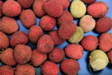 Free Ripe Lychee Photo Red Lychees Picture Royalty Free Fruit Stock