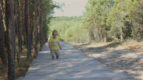 Barefoot Baby Toddler Walking Forest Making First Steps Wooden Footpath