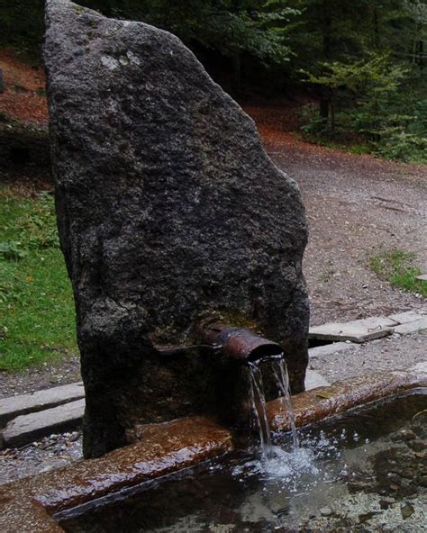 Glasbrunnen Im Berner Bremgartenwald Abgestellt B Rntoday