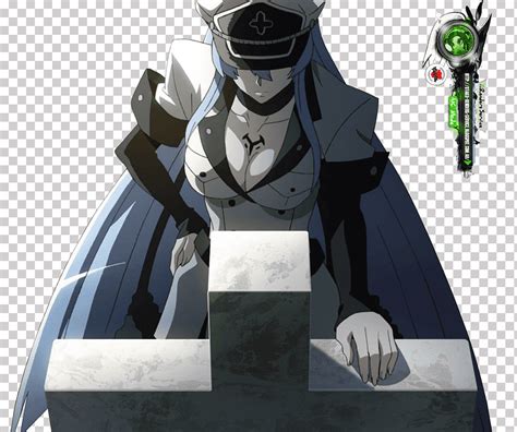 Akame ga matar teigu anime manga wikia esdeath personaje de ficción